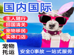 汉中城固空运地址国际宠物托运 【国